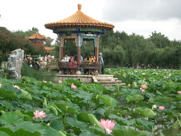 Pond Lily garden, Daguanlou