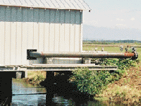 Cranberry Farm